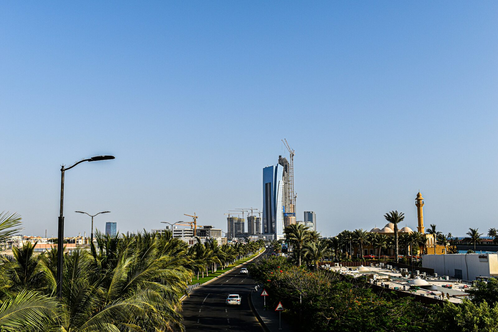 Jeddah city skyline with palm trees